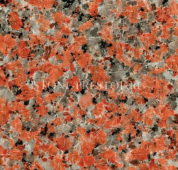 Marple Red (Марпл рэд), фото Купить Marple Red (Марпл рэд) в Чебоксарах